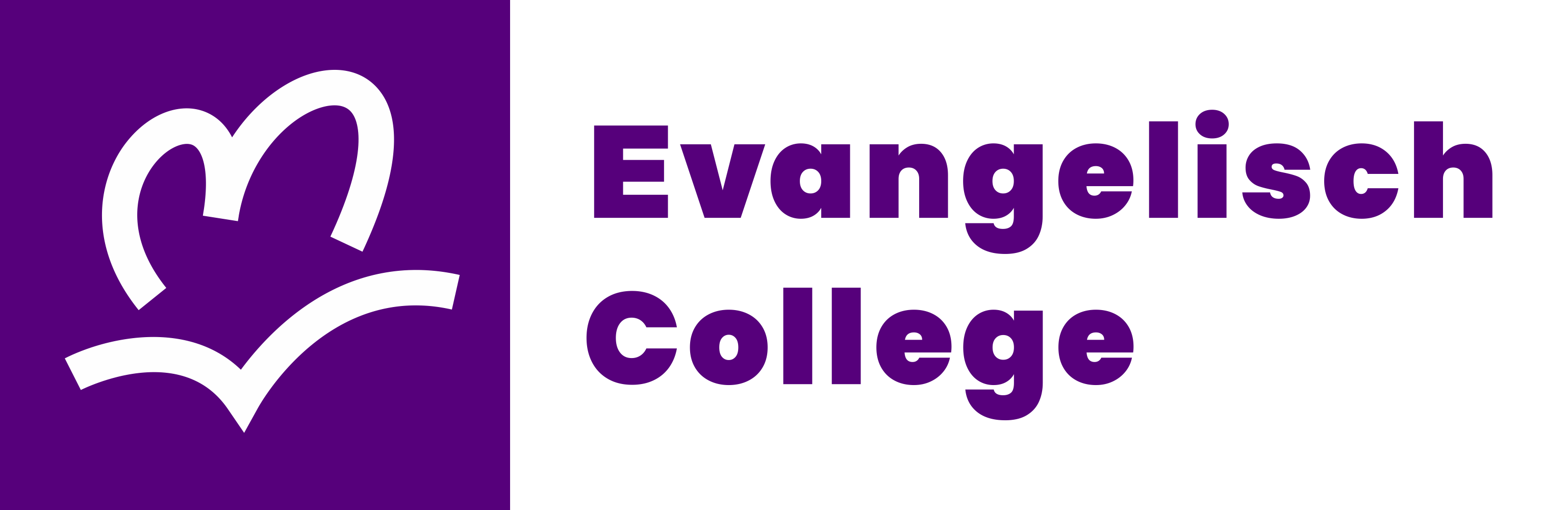 Leeromgeving Evangelisch College